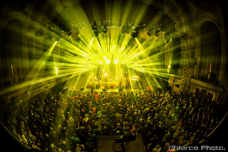 UM_Tauk_Orph _PhiercePhoto _PRC0420-Edit