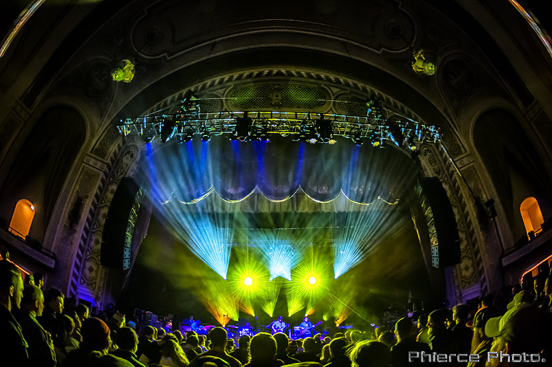 UM_Tauk_Orph _PhiercePhoto _PRC0213-Edit