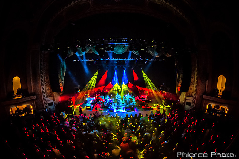UM_Tauk_Orph _PhiercePhoto _PRC0217-Edit