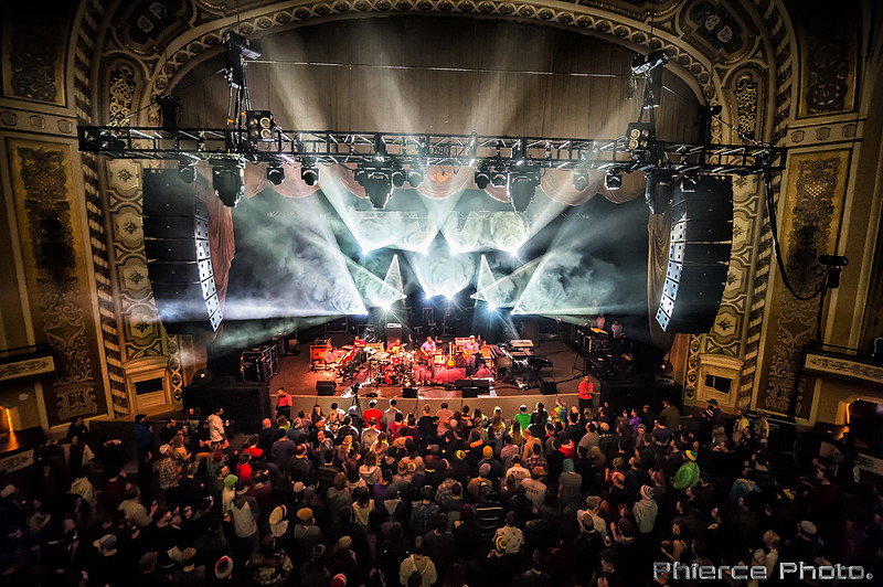 UM_Tauk_Orph _PhiercePhoto _PRC0297-Edit