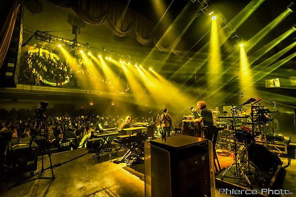 UM_Tauk_Orph _PhiercePhoto _PRC0753-Edit