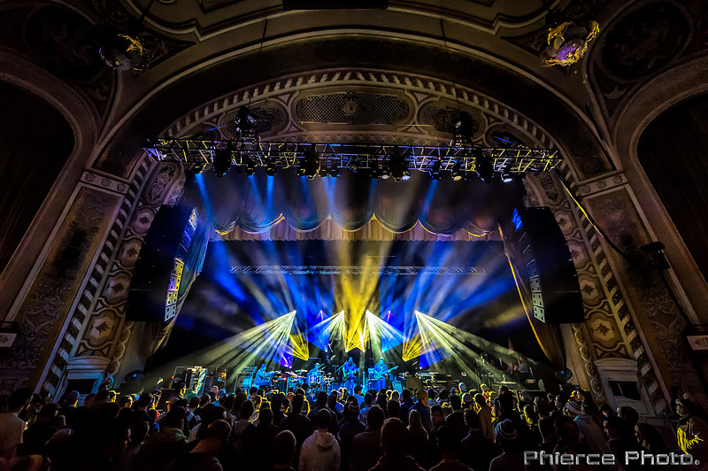 UM_Tauk_Orph _PhiercePhoto _PRC0146-Edit