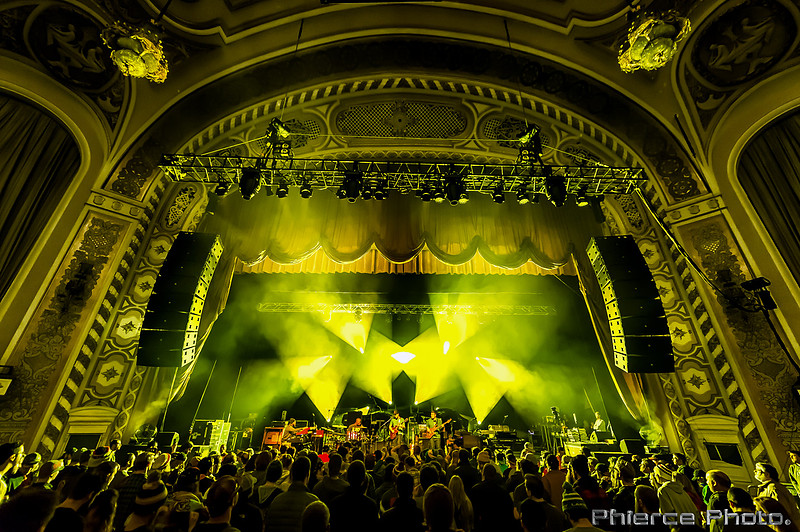UM_Tauk_Orph _PhiercePhoto _PRC0148-Edit