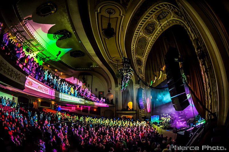 UM_Tauk_Orph _PhiercePhoto _PRC0248-Edit