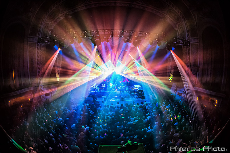 UM_Tauk_Orph _PhiercePhoto _PRC0418-Edit