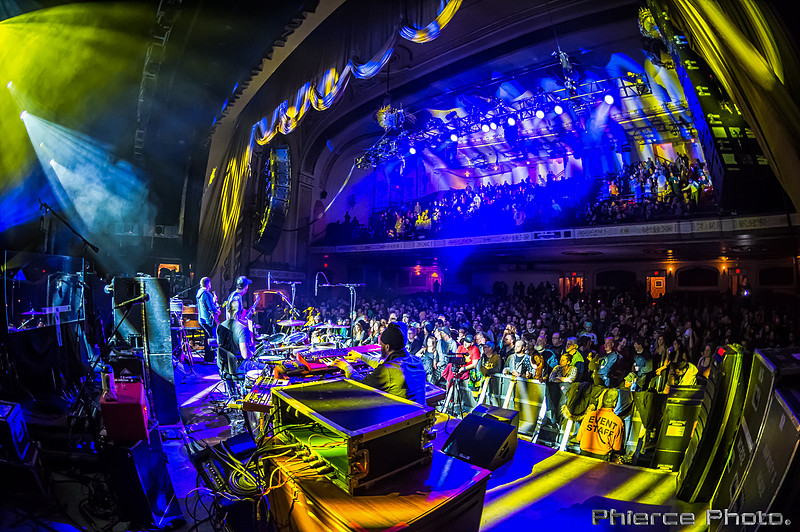UM_Tauk_Orph _PhiercePhoto _PRC0310-Edit