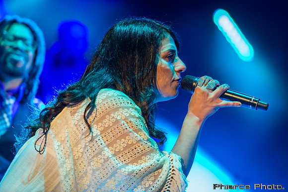 ThieveryCorporation_2016_PhiercePhoto-_PRC4654