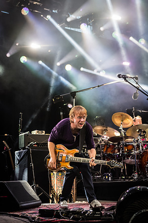 Phish 2019