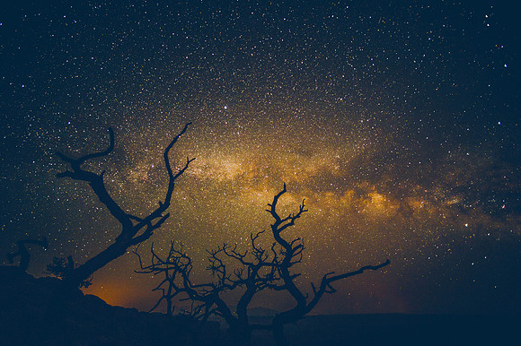 Cayonlands National Park, Moab, Utah