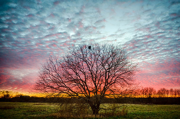 171220_Phierce Photo | Keith Griner_PRC1350_HDR