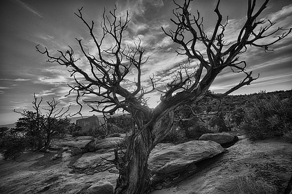 Cayonlands National Park, Moab, Utah